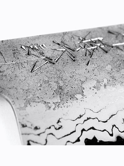 Tojiro Hand-Forged Aogami